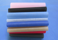 铜陵涤纶（PET）无纺布是什么